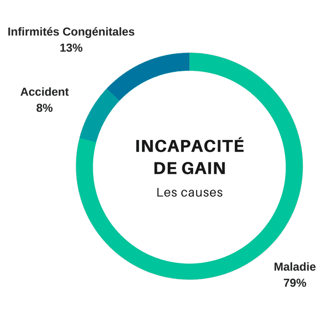 Graphique représentant la répartition des causes d'incapacité de gain